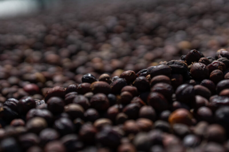 El Salvador, pražiareň kávy Čierna Perla,